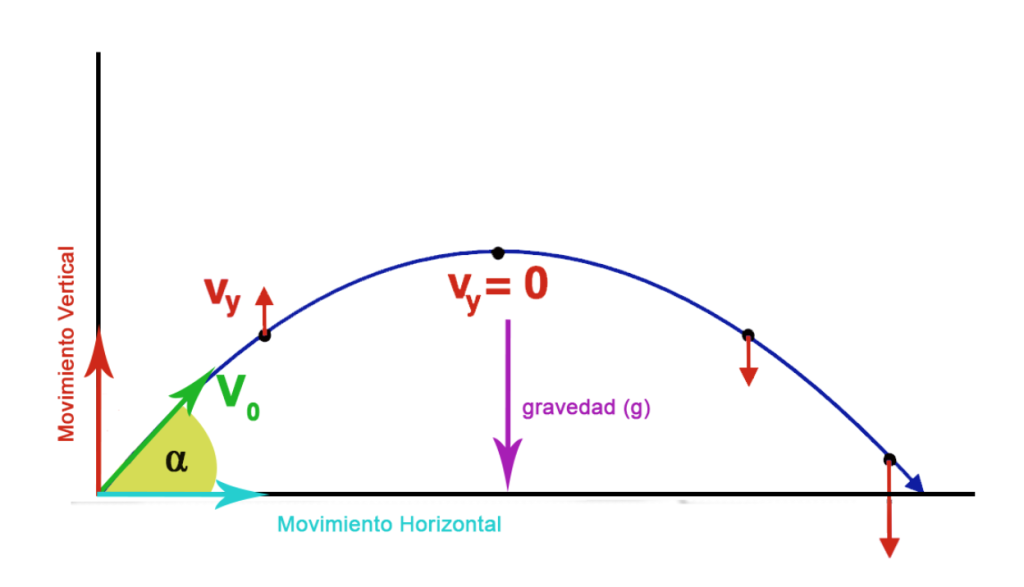 Calculadora de Velocidad Vertical en Proyectiles - Calculadoras de Física